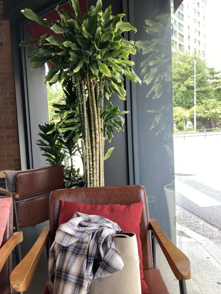 투썸플레이스 탕정점 이미지