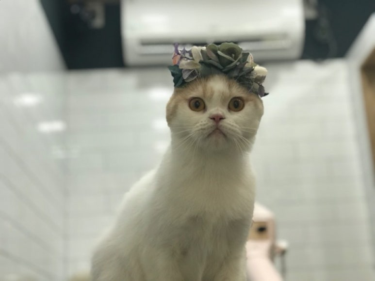 남희미용실 이미지