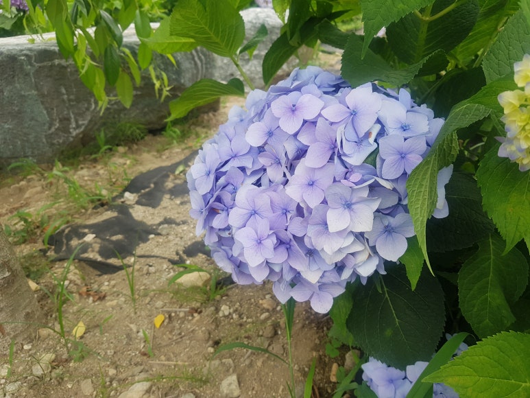 까페색동 이미지