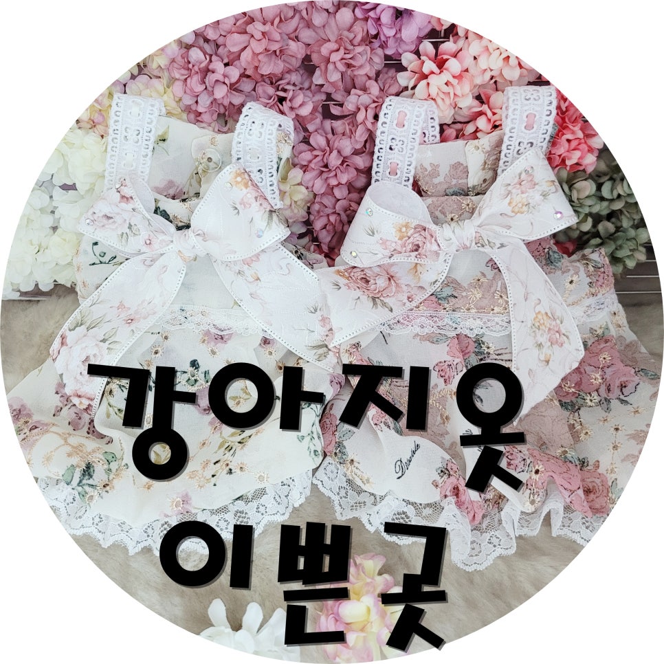 짝이되는동무 이미지