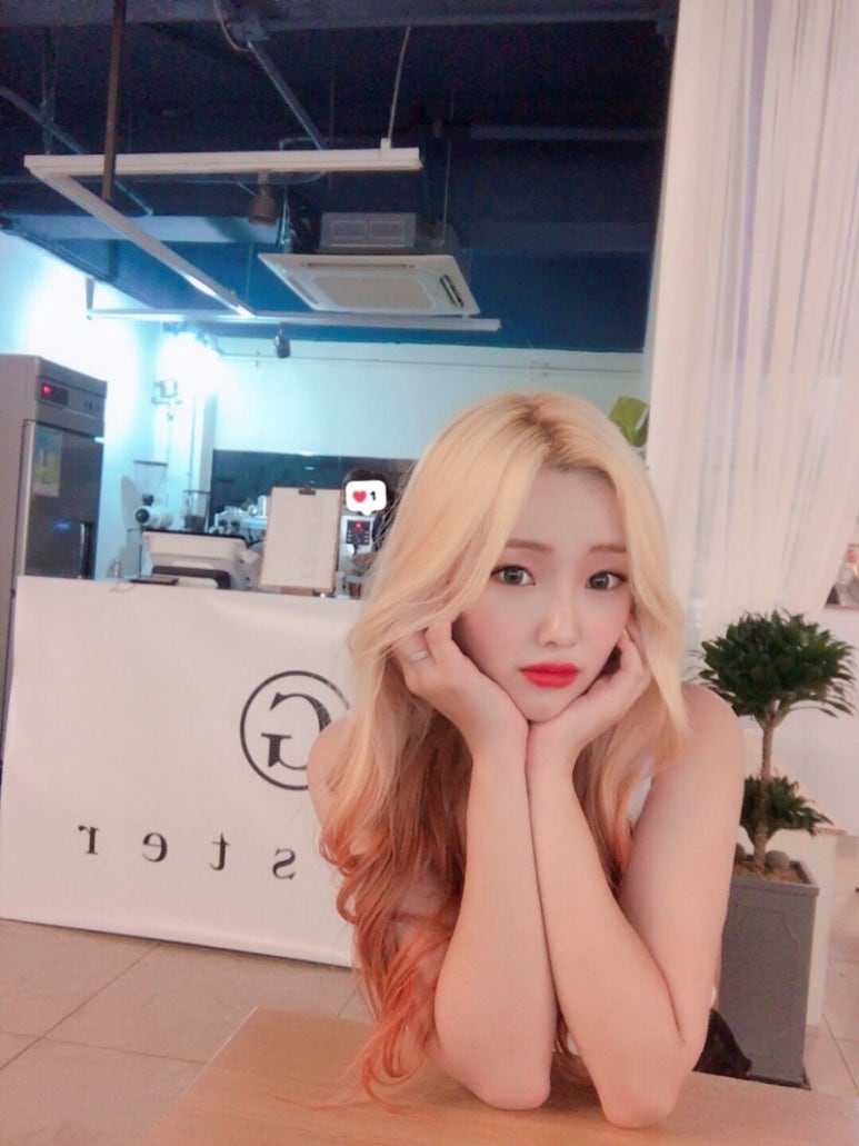 보물세상 이미지