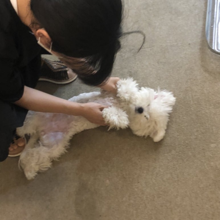 멜로우즈 이미지