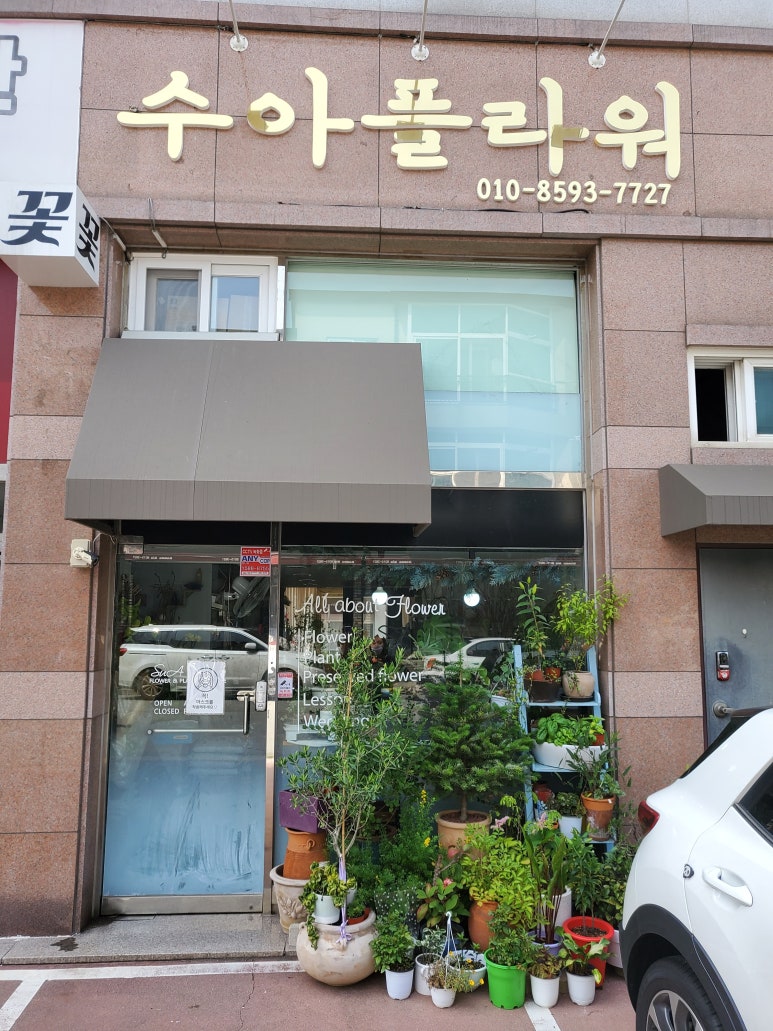 수아플라워 이미지