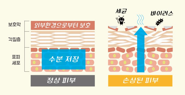 코스마인 이미지