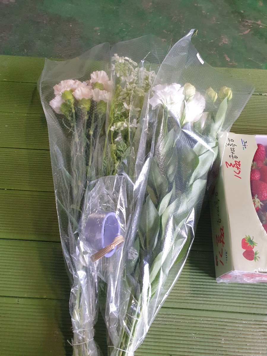 한림꽃농원 이미지