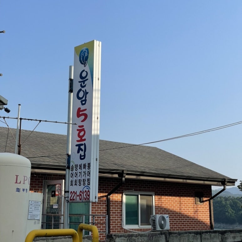 운암5호 이미지