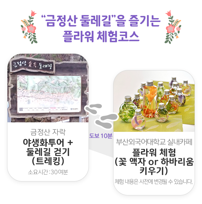 (주)청춘 이미지