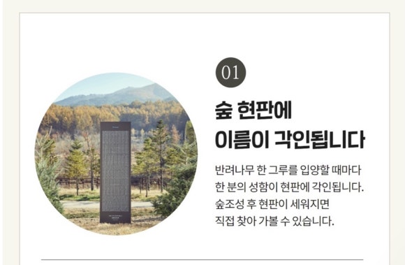 나무플래닛 이미지