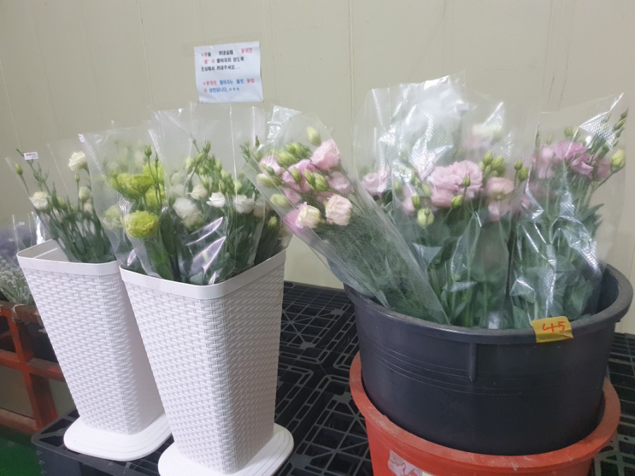 한림꽃농원 이미지