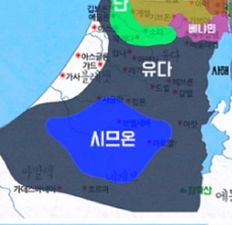 엔로겔 이미지