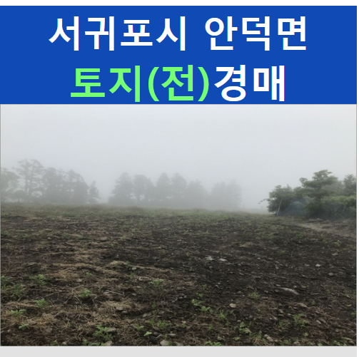 토지민속촌 이미지