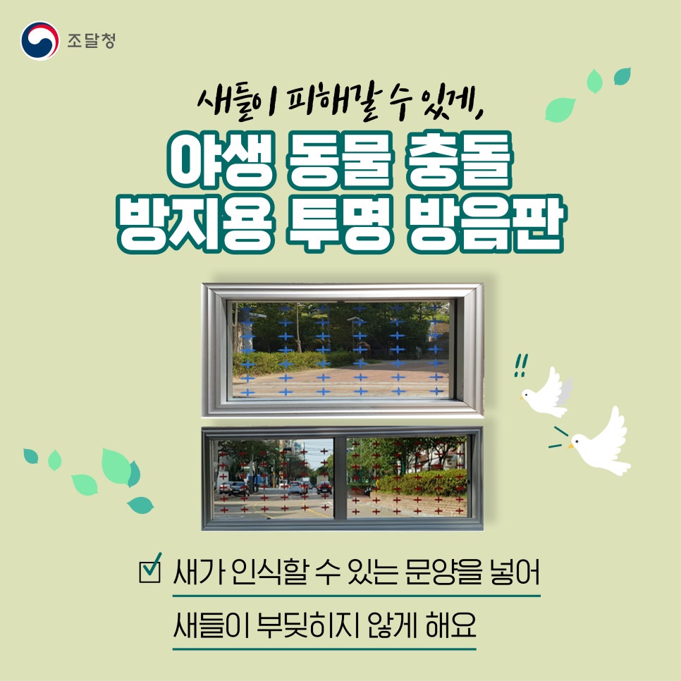 자연아부탁해 이미지