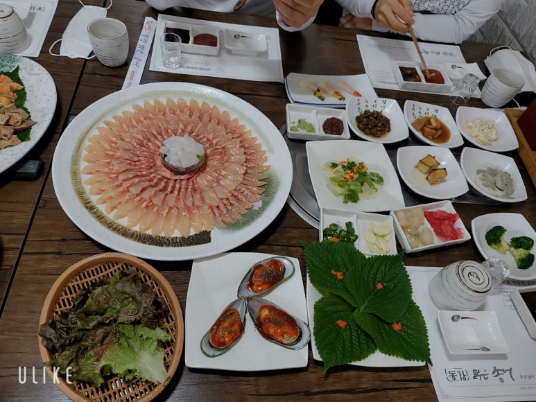 동강맑은송어 이미지