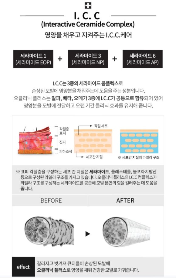 살롱드아띠 이미지