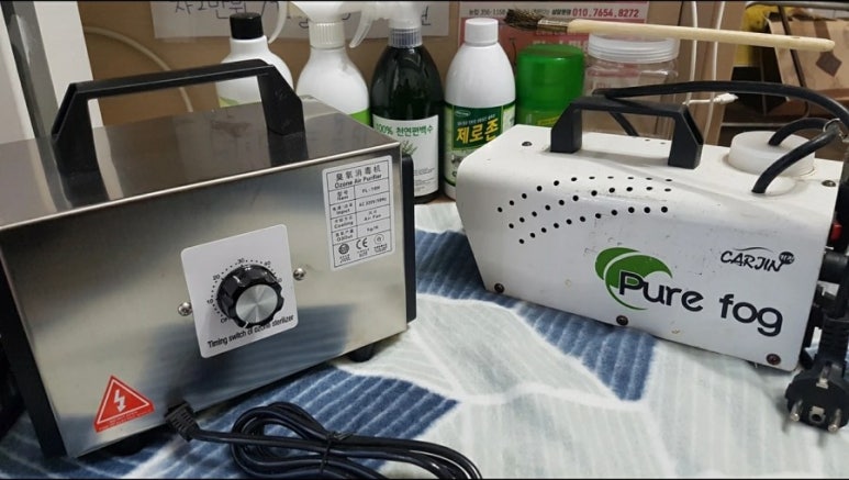 새집클로버 이미지