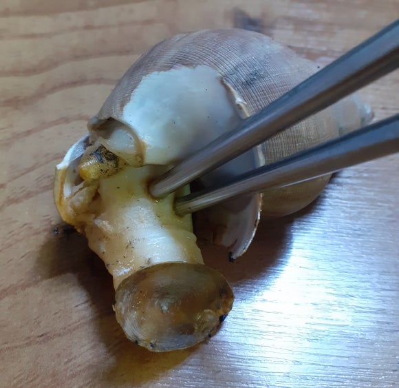 영일식품 이미지