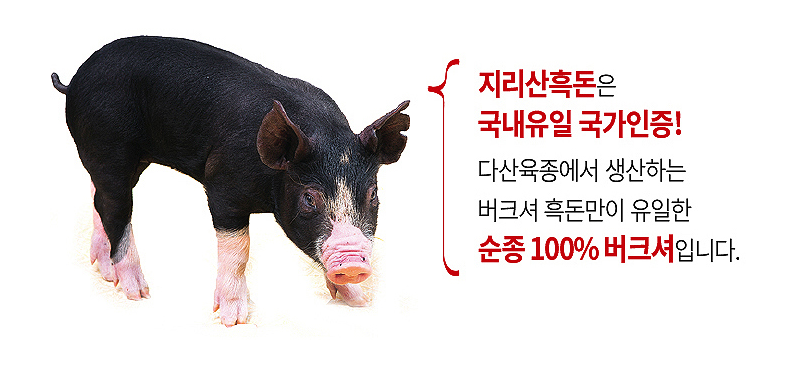 지리산흑돼지 이미지