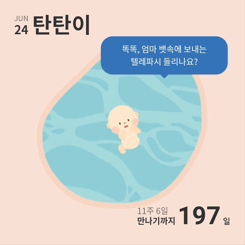 다빌리온 이미지