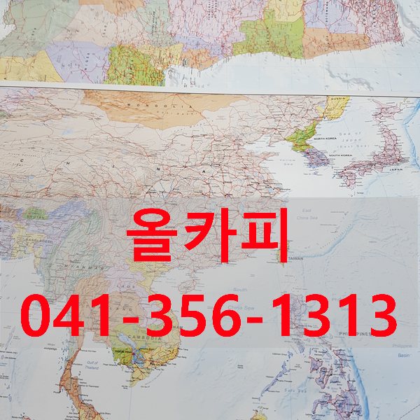 올카피 이미지