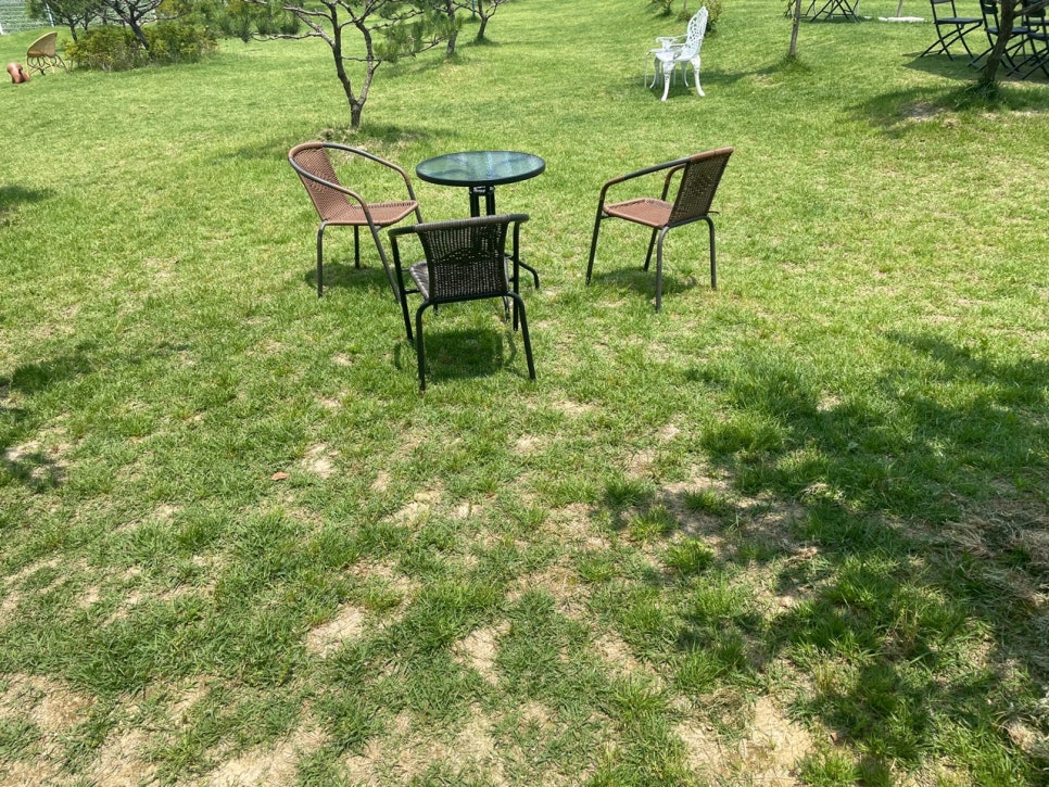 카페 빼로(cafe Perro) 이미지