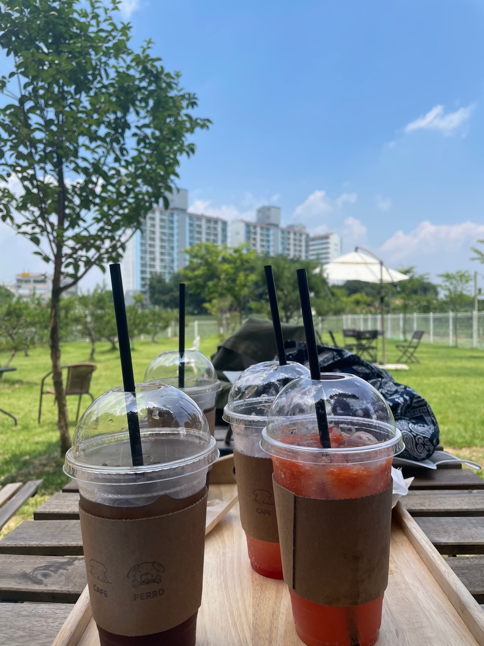 카페 빼로(cafe Perro) 이미지