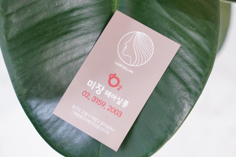 오투 헤어 이미지