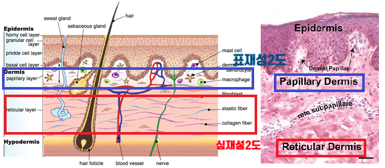 심재성 이미지