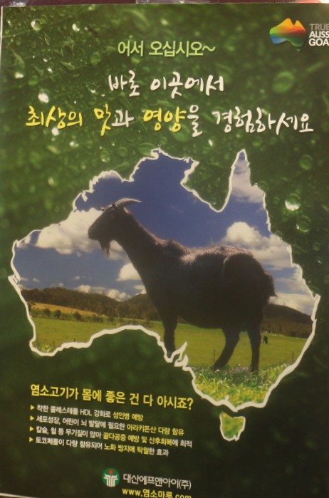큰손생오리흑염소 이미지