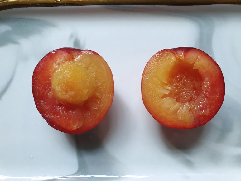 풀그린유통 이미지