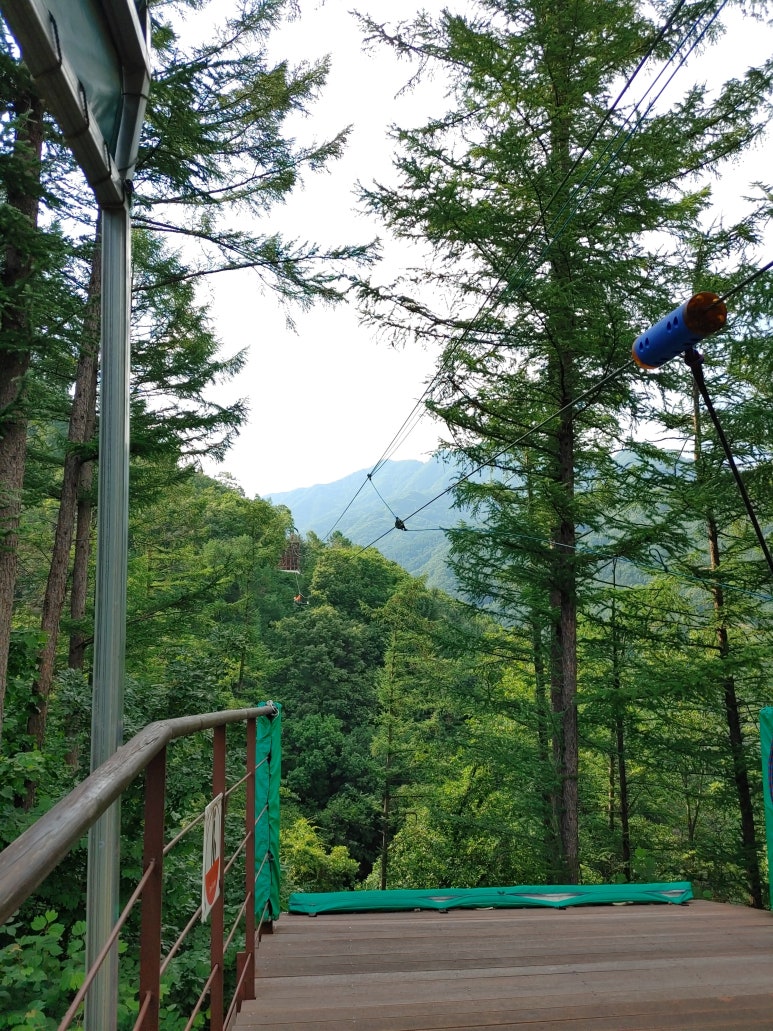 가평브릿지짚라인 이미지