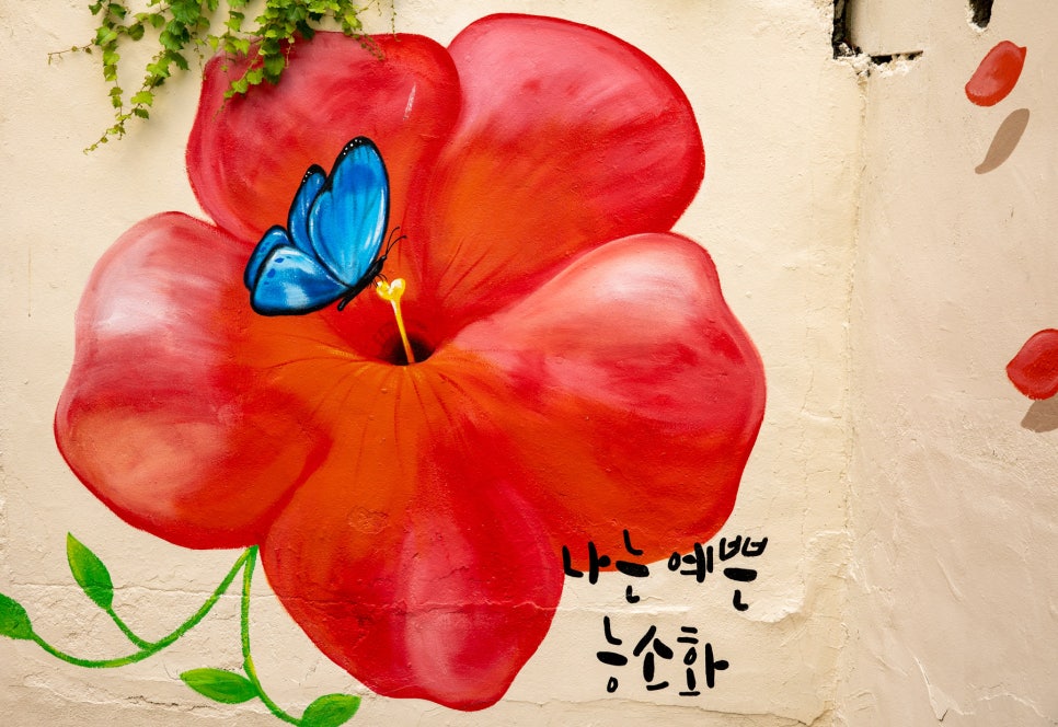 림플라워 이미지