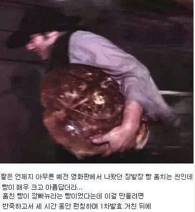 폴콘 이미지