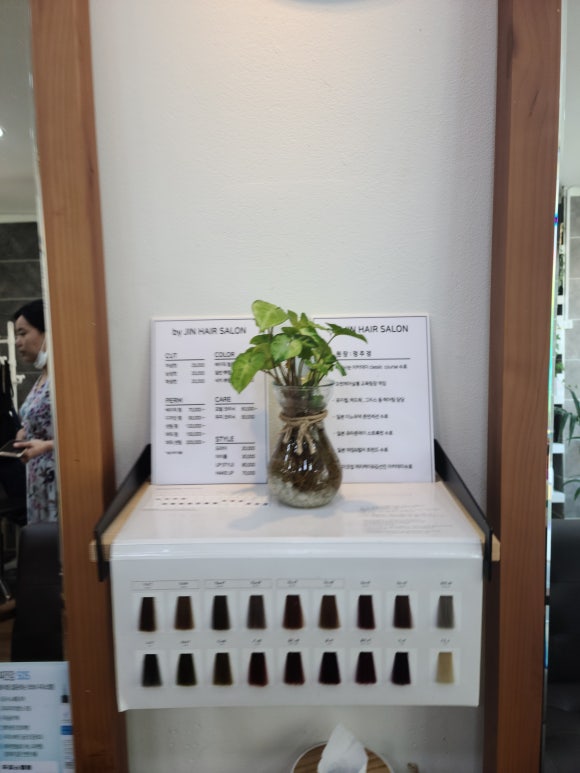 바이진 이미지