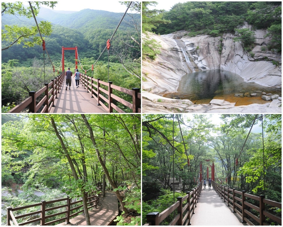 촌닭농장식당 이미지