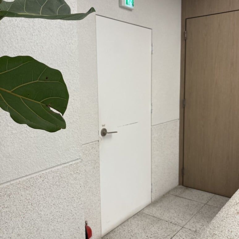 로브니 이미지