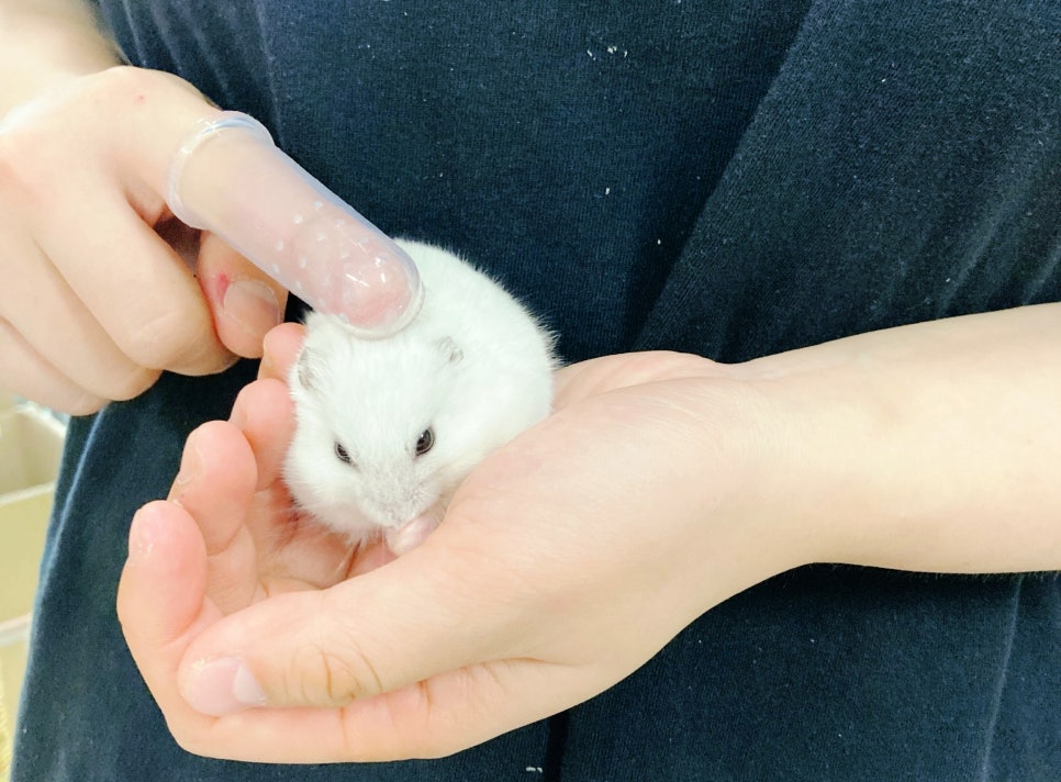 샛별마사지 이미지