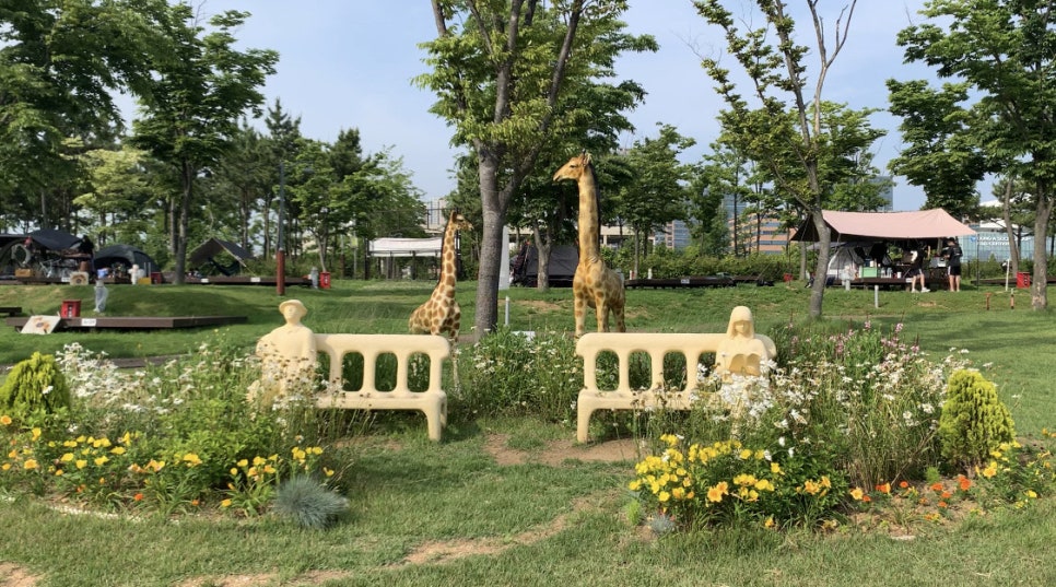 엘팝 이미지