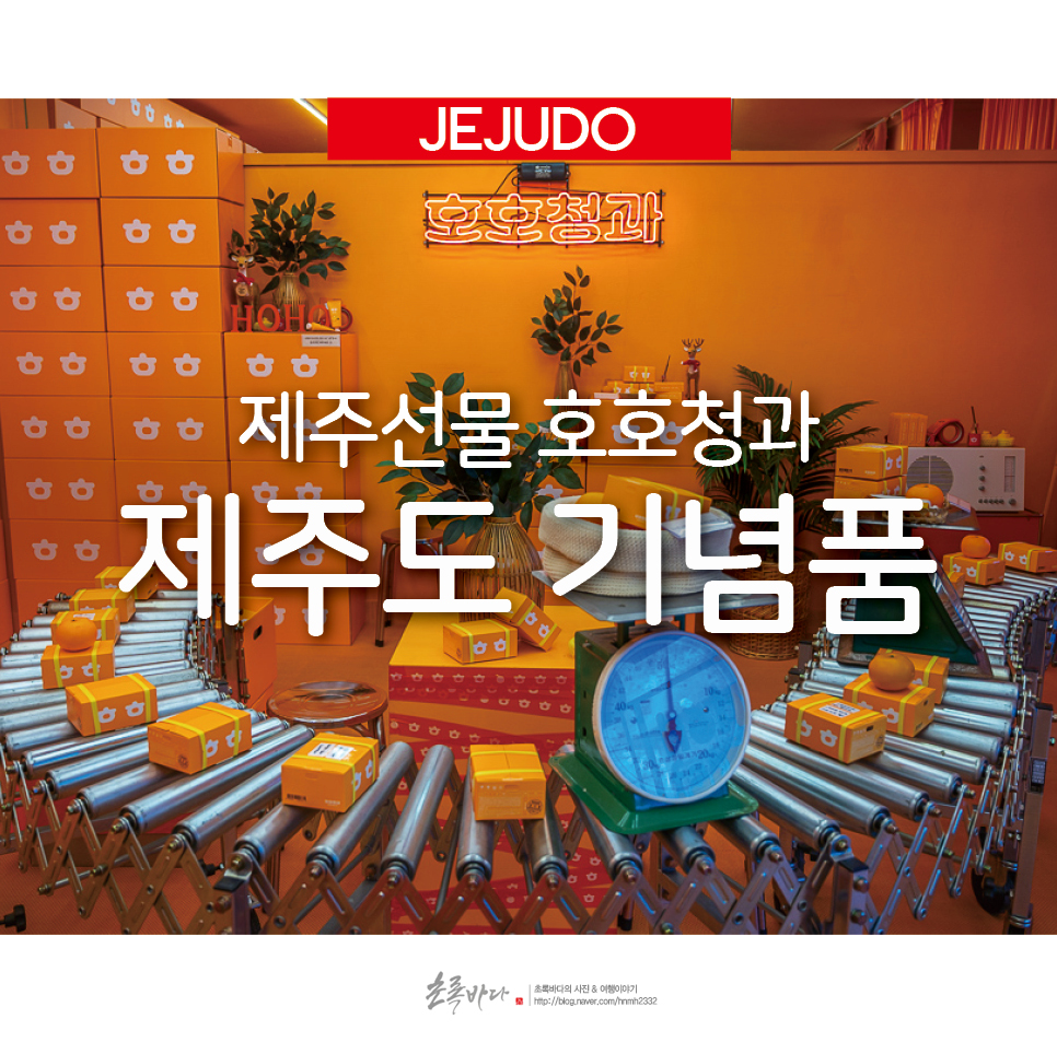 바다청과 이미지