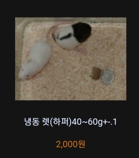 밀림냉동 이미지