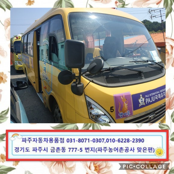 파주국제유치원 이미지