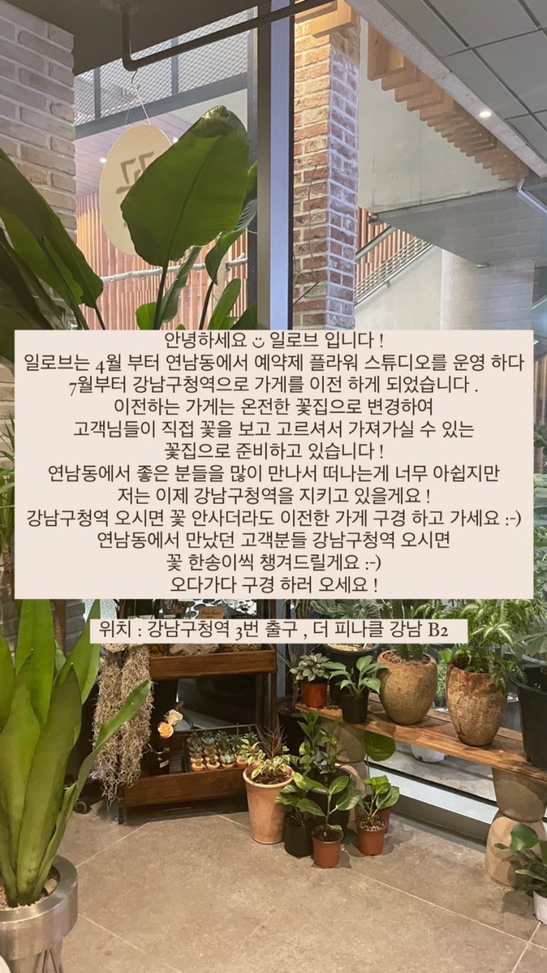 일로브 이미지