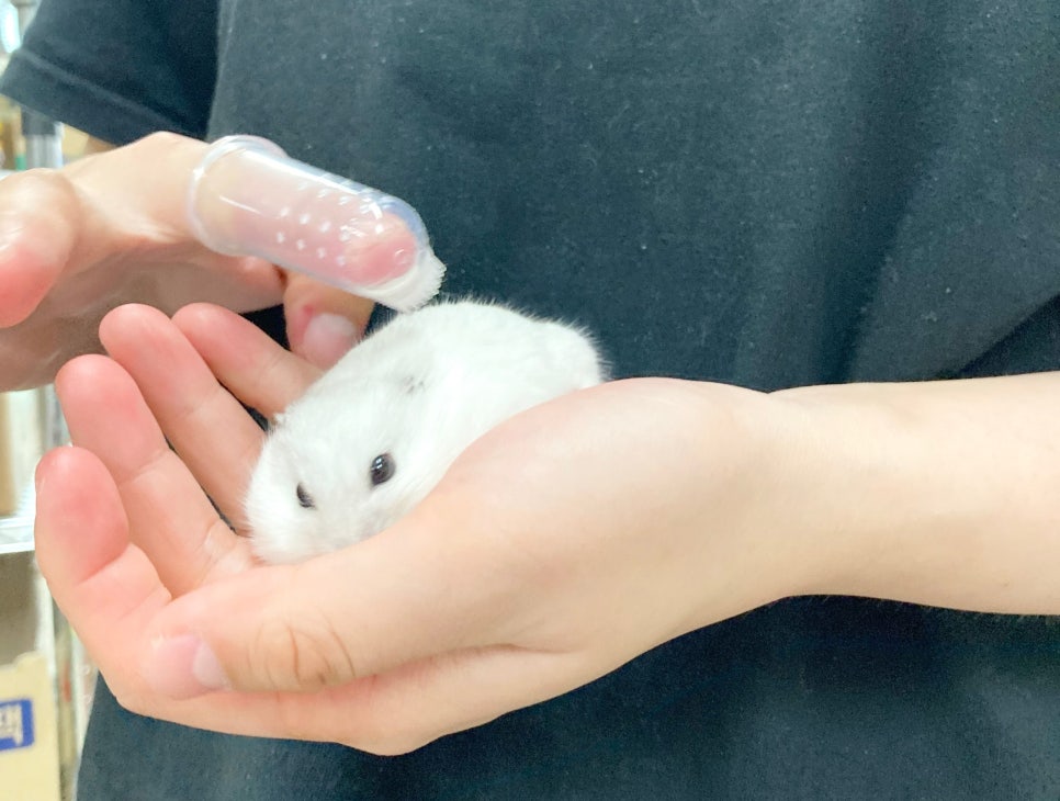 샛별마사지 이미지