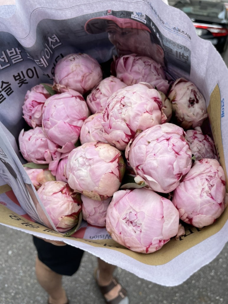 도곡시네마 이미지