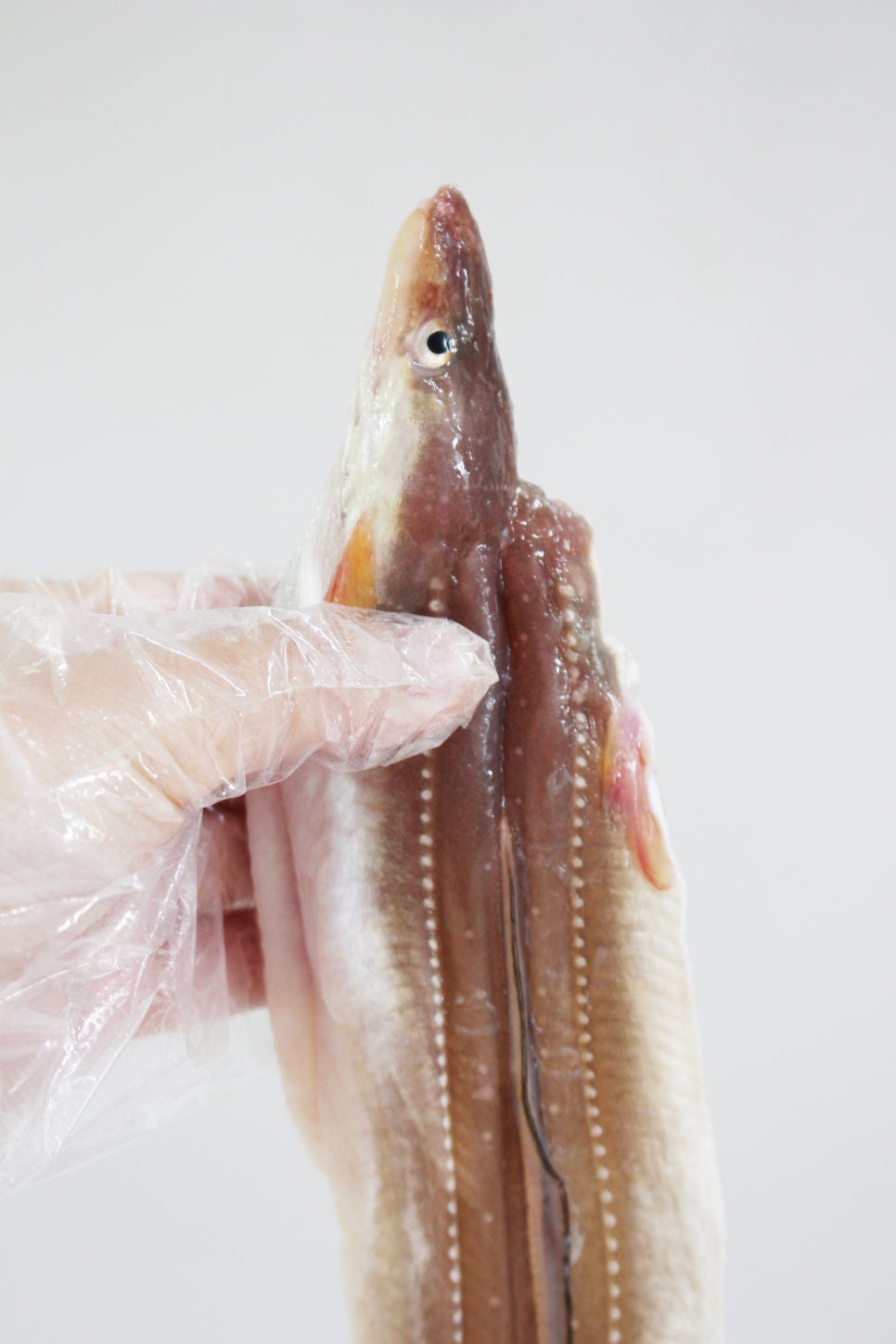대창수산 이미지