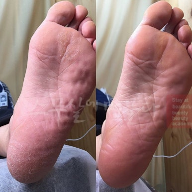 로이브로우아카데미 이미지