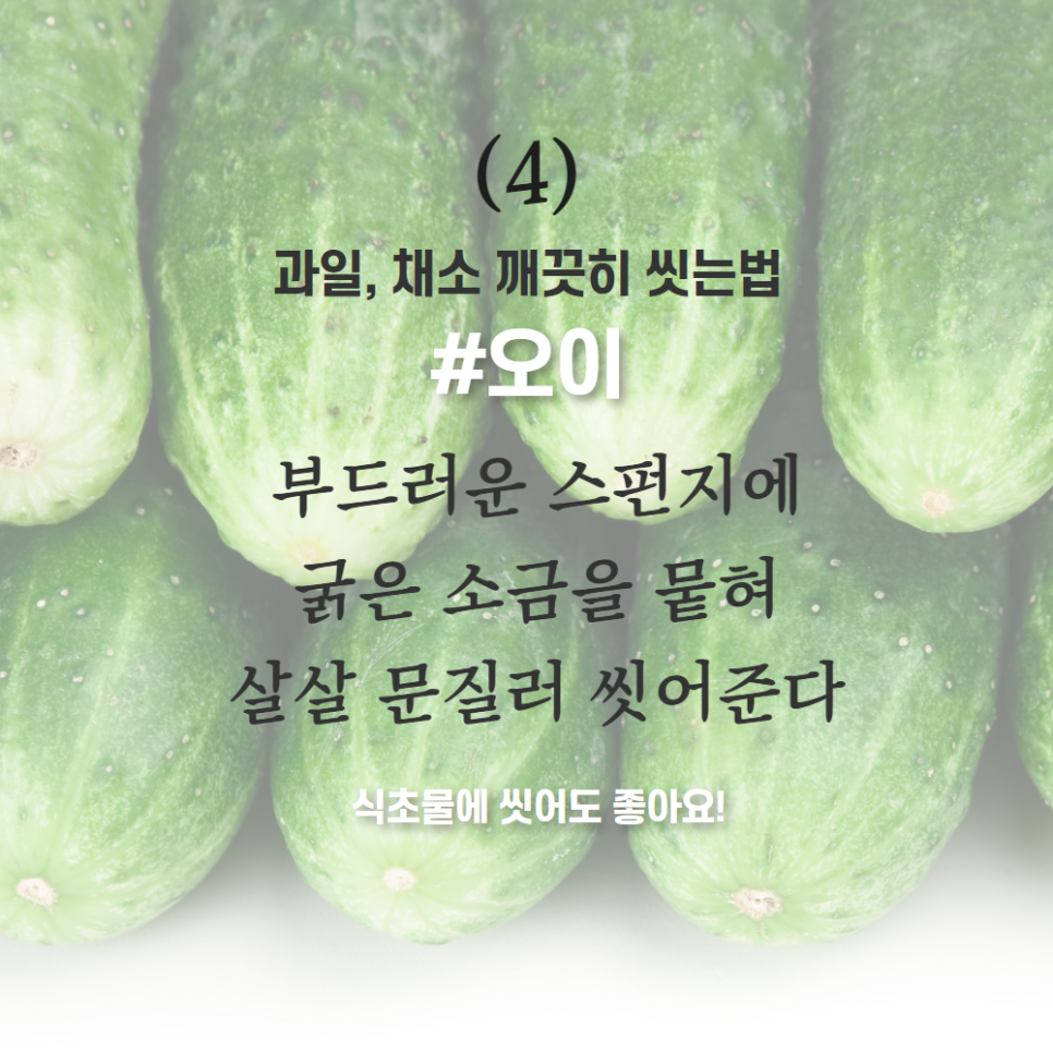 송이과일야채 이미지