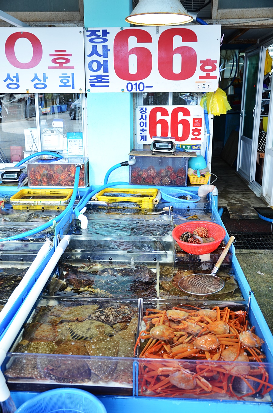 오라버니단골집 이미지