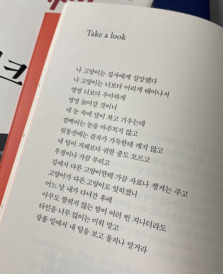 떼껄룩(TAKE A LOOK) 이미지