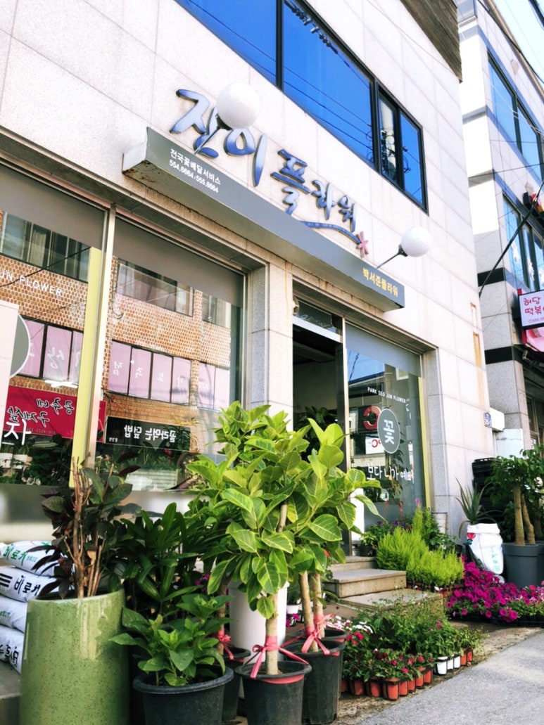 진이플라워 이미지