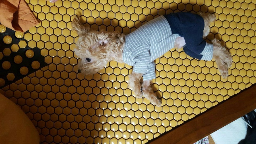 3H전주효자센타 이미지